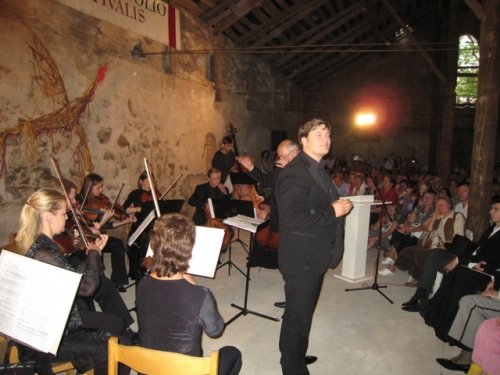 Kaimo turizmo sodybos, dvarai, vilos