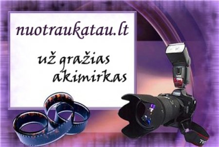Vestuvių fotografavimas + nemokama fotosesija