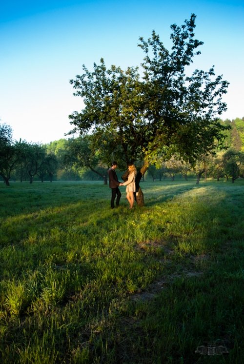 Vestuvių fotografai