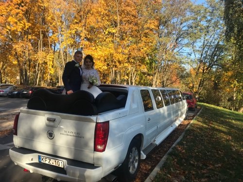 Limuzinai vestuvėms