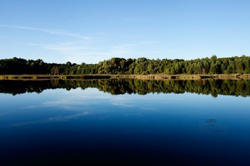 Kaimo turizmo sodybos, dvarai, vilos