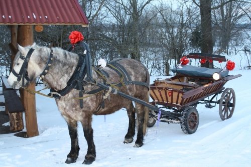 Restoranai, kavinės, barai, salės