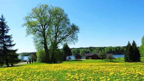 Kaimo turizmo sodybos, dvarai, vilos