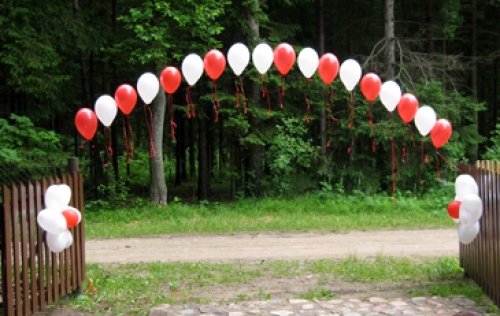 Automobilių, salės, bažnyčios puošimas ir dekoracijos