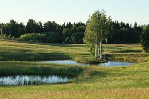 Kaimo turizmo sodybos, dvarai, vilos