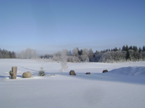 Kaimo turizmo sodybos, dvarai, vilos