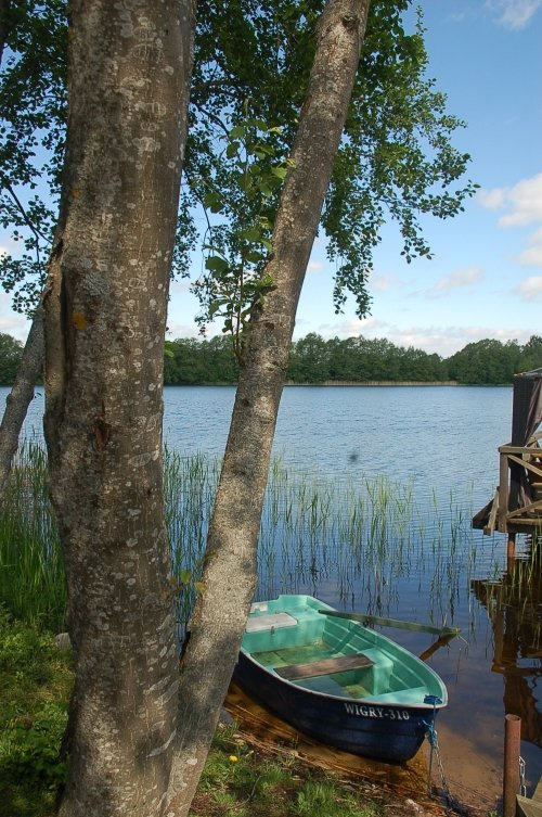 Kaimo turizmo sodybos, dvarai, vilos