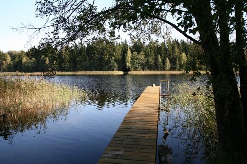 Kaimo turizmo sodybos, dvarai, vilos