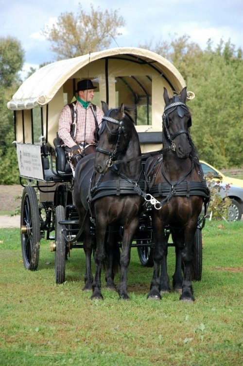 Kitas įdomus transportas