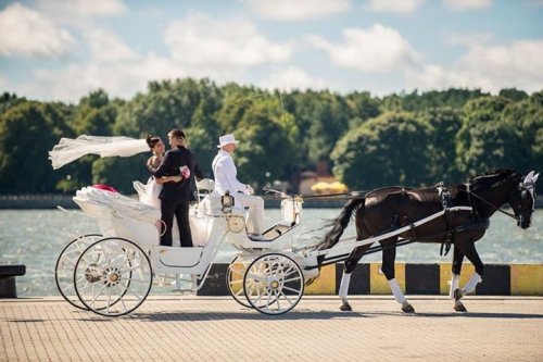 Kitas įdomus transportas