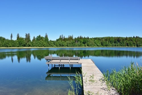 Kaimo turizmo sodybos, dvarai, vilos