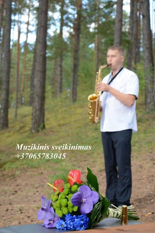 Vestuvių muzikantai