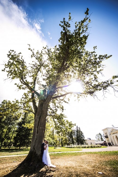 Vestuvių fotografai