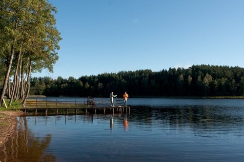 Kaimo turizmo sodybos, dvarai, vilos