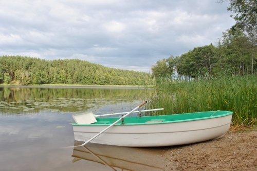 Kaimo turizmo sodybos, dvarai, vilos