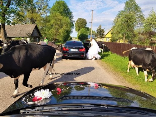 Vestuviniai automobiliai