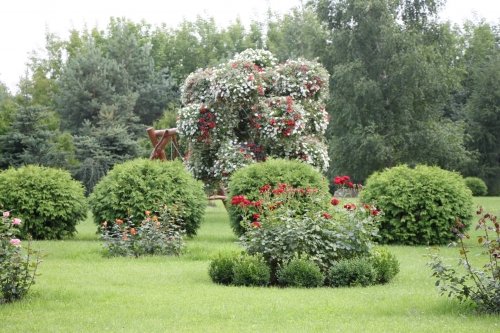 Restoranai, kavinės, barai, salės