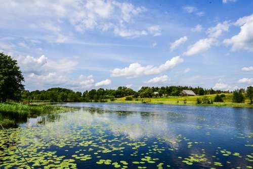 Kaimo turizmo sodybos, dvarai, vilos