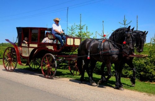 Kitas įdomus transportas