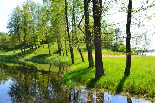 Kaimo turizmo sodybos, dvarai, vilos