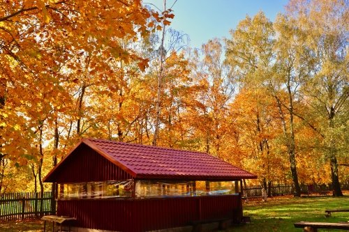 Restoranai, kavinės, barai, salės