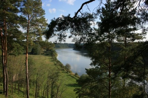 Restoranai, kavinės, barai, salės