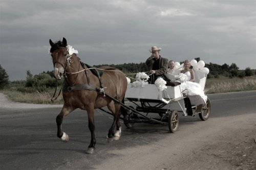 Vestuviniai foto albumai ir fotoknygos