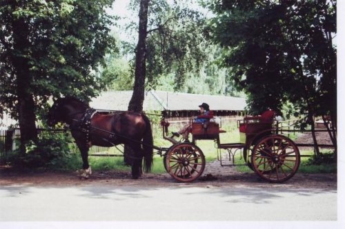 Kitas įdomus transportas