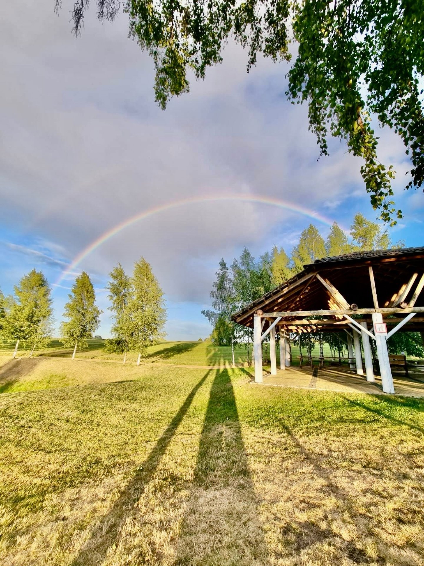 Kaimo turizmo sodybos, dvarai, vilos