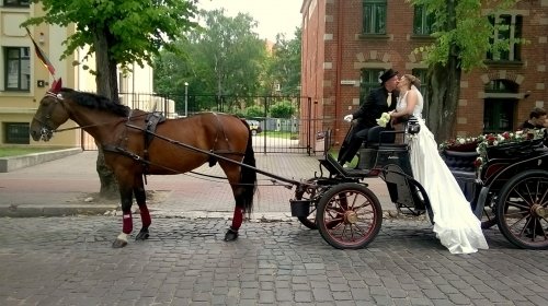 Kitas įdomus transportas