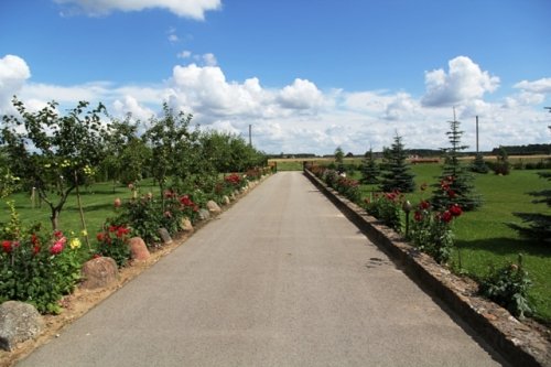 Restoranai, kavinės, barai, salės