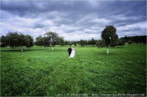 Vestuvių fotografai