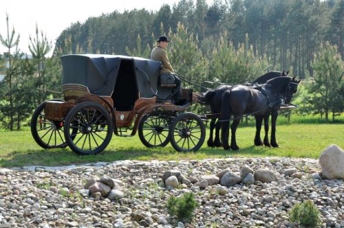 Kitas įdomus transportas