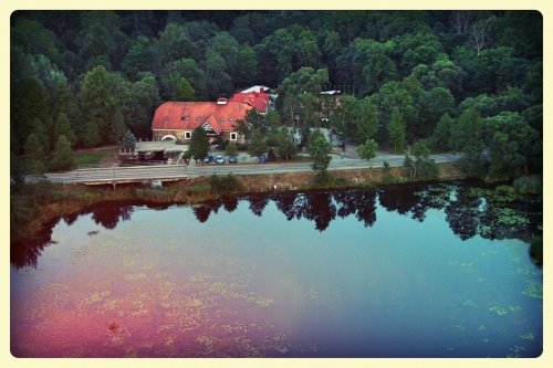 Restoranai, kavinės, barai, salės