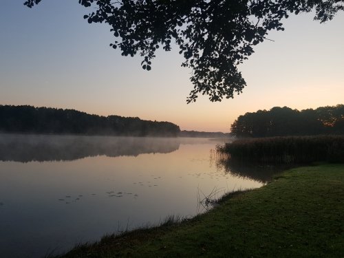 Kaimo turizmo sodybos, dvarai, vilos