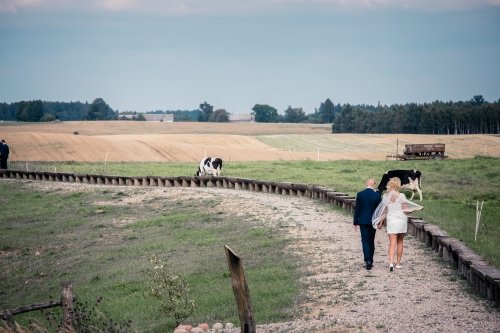 Vestuvių fotografai