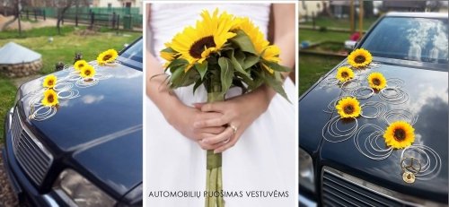 Automobilių, salės, bažnyčios puošimas ir dekoracijos