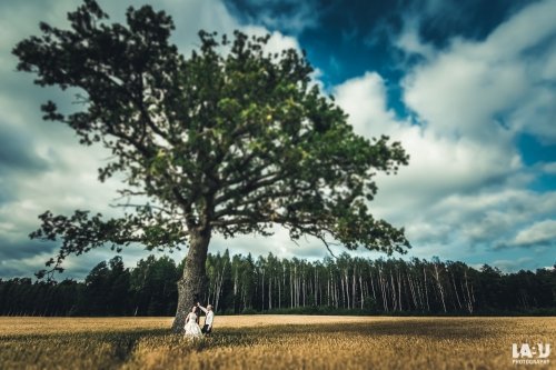 Vestuvių fotografai