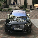 Audi - automobiliu nuoma