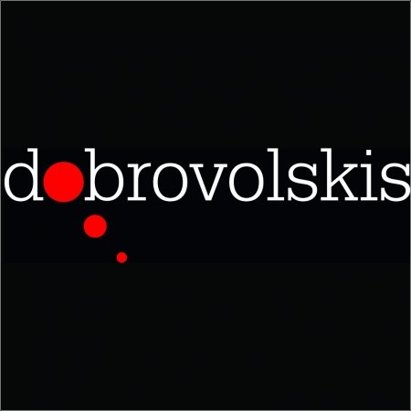 Vladas Dobrovolskis Profesionalas