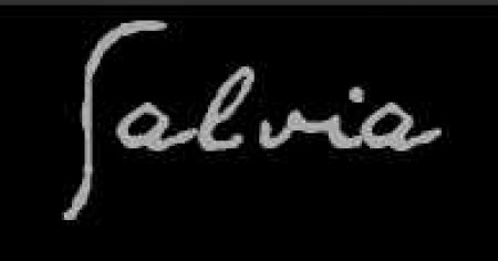 Nebrangiai ir kokybiškai fotografuojame vestuves!