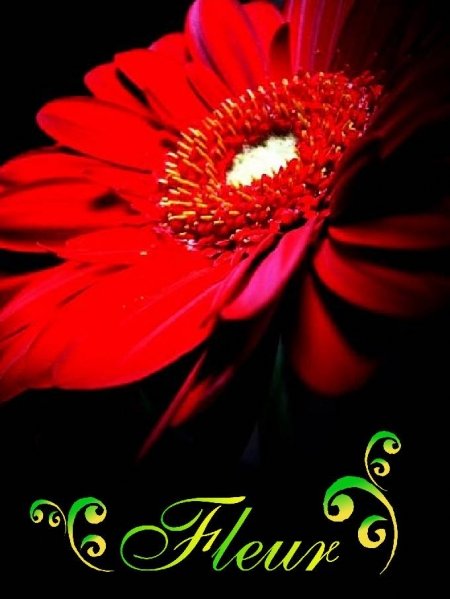 Mes išpildisime Jūsų svajones.