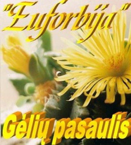 Euforbija