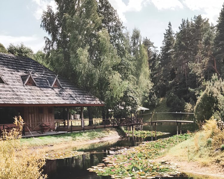 Vestuvės miškų apsuptame vienkiemyje