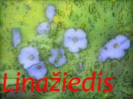 Gėlių salonas "LinaŽiedis"