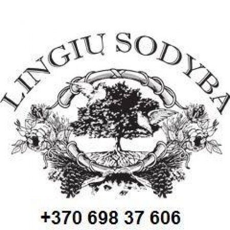 LINGIŲ sodyba