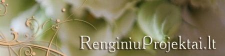 RenginiuProjektai.lt