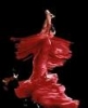 Mergvakariui ir bernvakariui - flamenko šokiai!