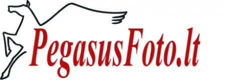 Profesionalus vestuvių fotografas
