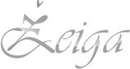 Stilingos proginės bei pamergių suknelės salone "Žeiga"